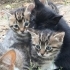 Tatlı kardeşler fotoğraf