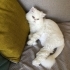 Pablo yuva arıyor fotoğraf