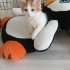 Acil Yuva arıyorum fotoğraf