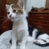 Sicacik bir yuva ariyoruz fotoğraf