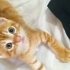 Birbirinden sıcakkanlı, oyuncu 4 Sarman bebek fotoğraf