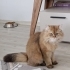 ÇOK ACİL YUVA ARIYORUZ fotoğraf