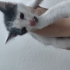Yurtta doğum büyüyen bebeklerimiz fotoğraf