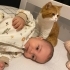 🐾 ÖMÜRLÜK YUVA ARIYORLAR 🐾 fotoğraf