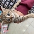 1.5 aylık Lola bebek ailesini arıyor fotoğraf