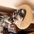İki kedi kardeşler acil kalıcı yuva arıyorum fotoğraf