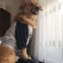 Askere gittiğim için sahiplendirmek istiyorum fotoğraf