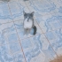 Yavru Minikler Yuva Ariyor fotoğraf