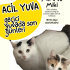 Dünyanın en uysal kardeşleri çok acil yuva arıyor fotoğraf