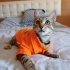 Görülsun artik masum evlatlar..onca mücadele.yuvalarına kavuşsalar fotoğraf