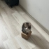 Tatlılık abidesi fotoğraf