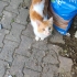 Sokağa Terkedilen Dünyalar Tatlısı Çocuğumuz fotoğraf