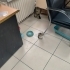 Sevgi Delisi 3 Kardeşe Yuva Arıyoruz 🥹 fotoğraf