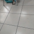 Sevgi Delisi 3 Kardeşe Yuva Arıyoruz 🥹 fotoğraf