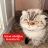 TOPRAK TERK EDİLDİ VE YENİ YUVASINI ARIYOR fotoğraf