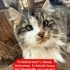 KITIR ACIMASIZCA TERK EDİLDİ. fotoğraf