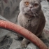 2 yaşinda oğlumuz ömürluk yuva ariyor fotoğraf