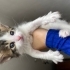 Ömürlük yuva arıyoruz fotoğraf