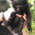 Küçük yavru kedi. Annesi yok:( sahiplendirme istiyoruz fotoğraf