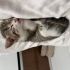 2 AYLIK KIZIMIZ ŞAŞKIN fotoğraf