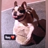 Çok uslu bi kız Roxy fotoğraf