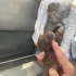 Yavrumuz ailesini arıyor fotoğraf