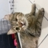 Tek gözlü sokağa dönmesin:( çok yorgun fotoğraf