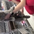 Engelli kedi, fil ayaklı- terk edildi fotoğraf