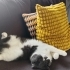 Duygusal oğlumuza sıcak bir yuva arıyoruz fotoğraf