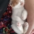 Sokakta bir basina kalmis fotoğraf
