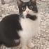 YUVA ÇIKMAZSA PARKA BIRAKILACAK fotoğraf