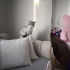 Sevgi bağımlısı yakışıklı Blue Point fotoğraf