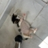 Çöpe atılmış bebek fotoğraf