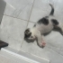 Çöpe atılmış bebek fotoğraf