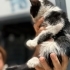 Çiko iç dış parazitleri yapıldı 2 aylık erkek anne sütü emdi gayet sağlıklı fotoğraf