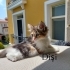 Güzeller güzeli Turunculu kız fotoğraf