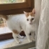 ÇOK AMA ÇOK ACİL YUVA fotoğraf