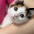 ZUZU SOKAĞA GİTMESİN fotoğraf