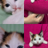 ZUZU SOKAĞA GİTMESİN fotoğraf