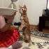 Engelli oğlumuz umut kalıcı yuva arıyor fotoğraf