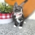 Şanslı kızımız size şans getirsin fotoğraf