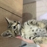 Güzel kızımıza ömürlük yuva arıyoruz fotoğraf