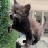 Zeytine Acil Yuva fotoğraf