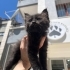 Zeytine Acil Yuva fotoğraf