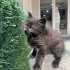 Zeytine Acil Yuva fotoğraf