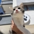 Güzel oğlana yuva fotoğraf