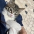 Güzel oğlana yuva fotoğraf
