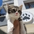 Güzel oğlana yuva fotoğraf