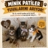 Minik Patiler Yuva Arıyor(2 dişi, 1 erkek) fotoğraf