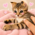 Ücretsiz sahiplenme Scottish fold fotoğraf
